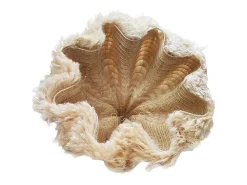 Lámpara Colgante Rami - Natural - XL