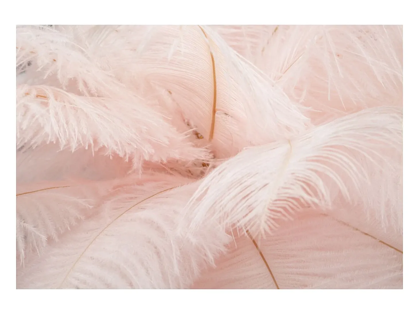 Lámpara de mesa con pantalla de plumas y 2 luces Palm S - Rosa