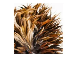 Lámpara de mesa Zoey de plumas y teca maciza envejecida
