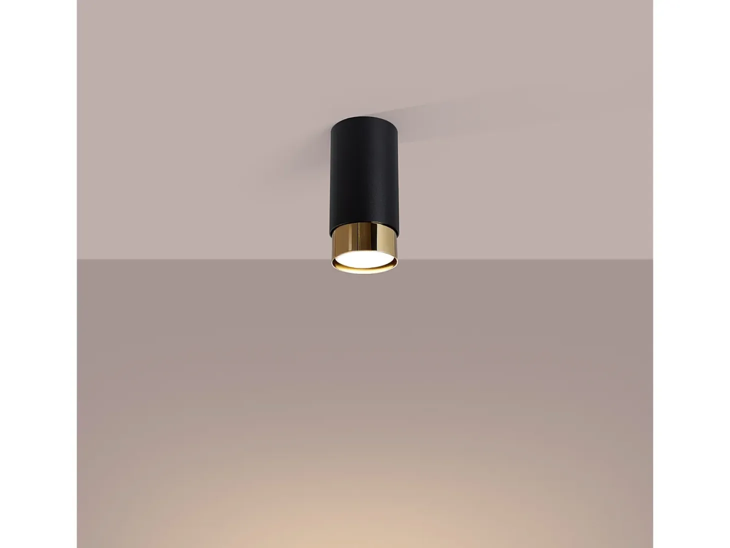 Lámpara de techo Alvor moderno de acero - 1 fuentes luminosas 4000K - L.6 x A.12,5 cm - negro/oro