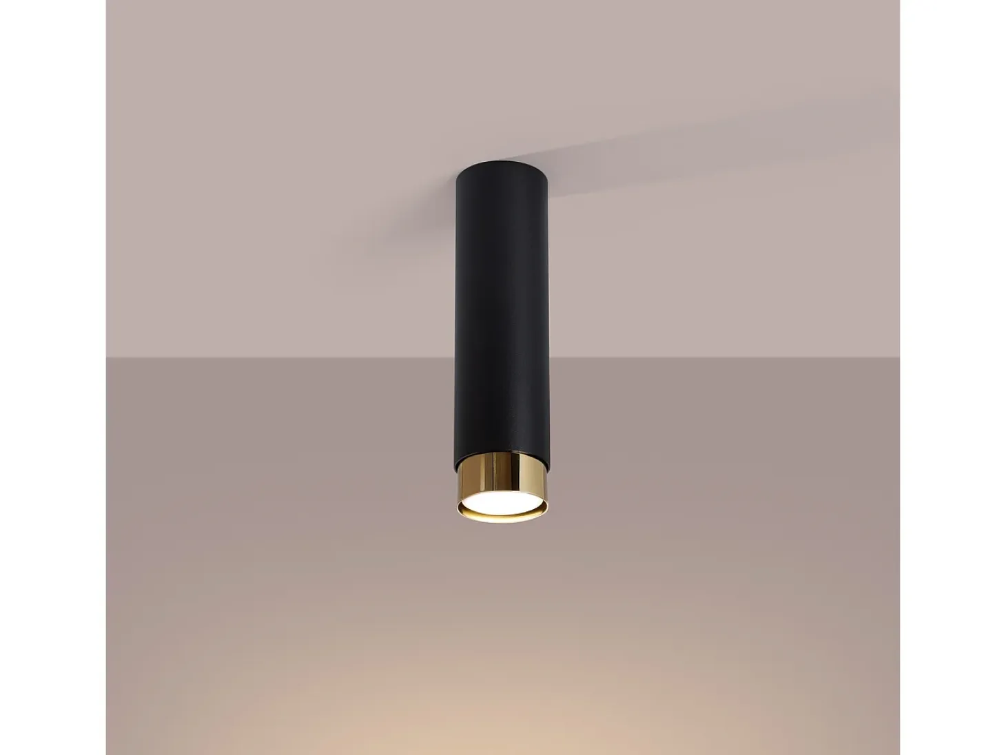 Lámpara de techo Alvor moderno de acero - 1 fuentes luminosas 4000K - L.6 x A.22,5 cm - negro/oro