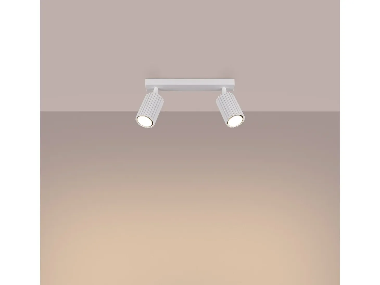 Lámpara de techo Gloow minimalista de aluminio - 2 fuentes luminosas 4000K - L.30 x A.16,5 cm - blanco