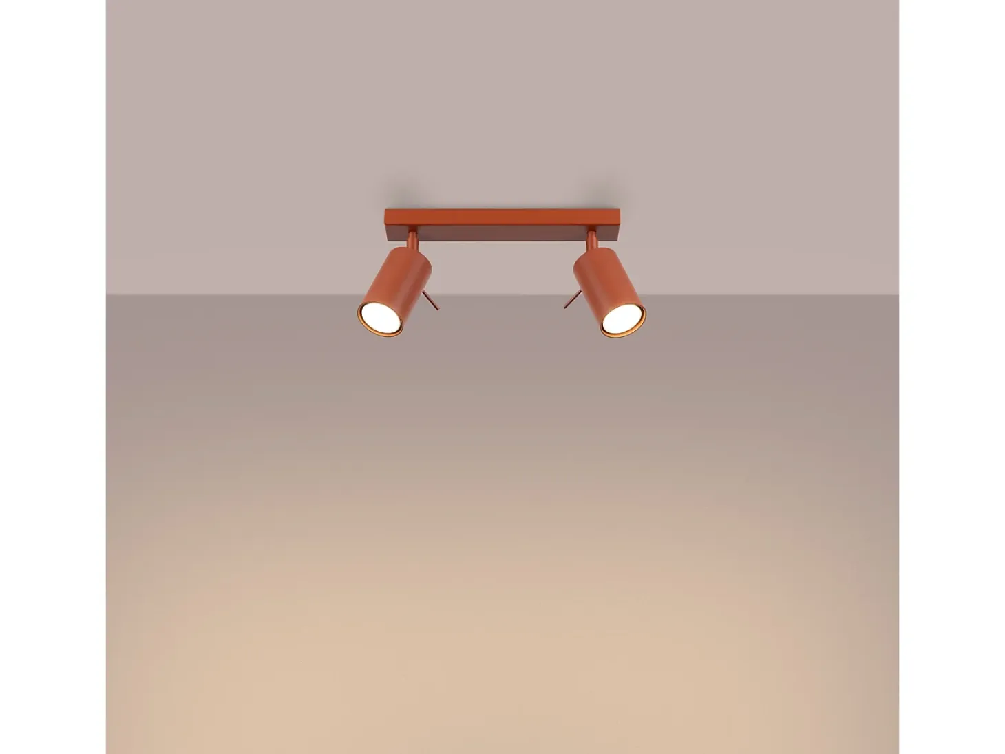 Lámpara De Techo Ring Moderno De Acero - 2 Fuentes Luminosas - L.30 X A.17 Cm - Ocre Rojo