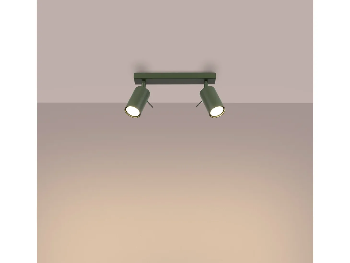 Lámpara De Techo Ring Moderno De Acero - 2 Fuentes Luminosas - L.30 X A.17 Cm - Verde Oliva