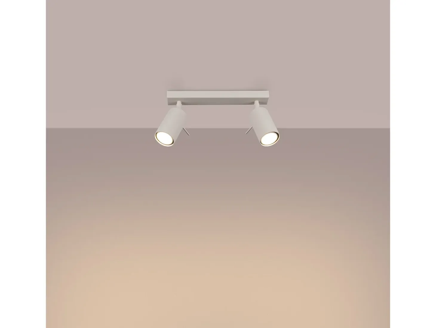 Lámpara De Techo Ring Moderno De Acero - 2 Fuentes Luminosas - L.30 X A.17 Cm - Beige