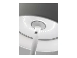 Lámpara LED Poldina Pro XXL Gris Oscuro Recargable y Regulable 150cm con Batería Hasta 12 Horas