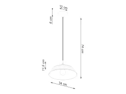 Lámparas colgantes Quarix escandinavo de acero - 1 fuentes luminosas 3000K - L.34 x A.74 cm - negro