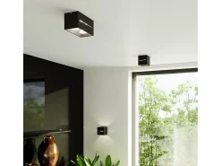 Lámparas De Techo Lobo Moderno De Aluminio - 2 Fuentes Luminosas - L.20 X A.10 Cm - Negro