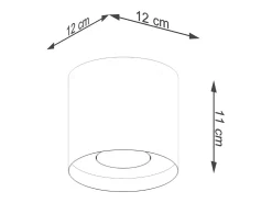 Lámparas de techo Shiis minimalista de aluminio - 1 fuentes luminosas 4000K - L.12 x A.11 cm - negro