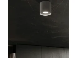 Lámparas de techo Shiis minimalista de aluminio - 1 fuentes luminosas 4000K - L.12 x A.11 cm - gris
