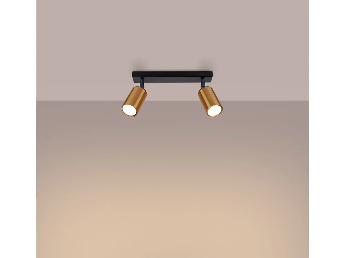 Lámparas De Techo Winx Moderno De Acero - 2 Fuentes Luminosas - L.30 X A.18,5 Cm - Negro/Cobre