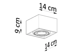 Lámparas de techo Zentra industrial de concreto - 1 fuentes luminosas 4000K - L.14 x A.9 cm - gris