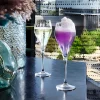 Lote de 6 Copas de Vino 16 cl Symétrie Chef & Sommelier