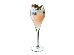 Lote de 6 Copas de Vino 16 cl Symétrie Chef & Sommelier