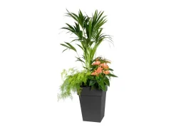 Maceta cuadrada de altura media, 40 cm, Toscana - 39 x 39 x 53 cm (alto) - 51 L - Gris antracita