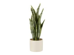 Maceta de sansevieria artificial de plástico verde de 10x10x36 cm