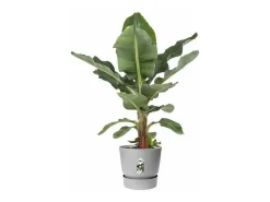 Maceta redonda 25 - Exterior Ø 24,48 x 23,31 cm - Living hormigón gris