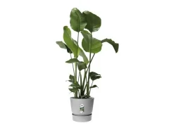 Maceta redonda 40 - Exterior Ø 39 x 36,8 cm - Living hormigón gris