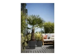 Maceta redonda 40 - Exterior Ø 39 x 36,8 cm - Living negro