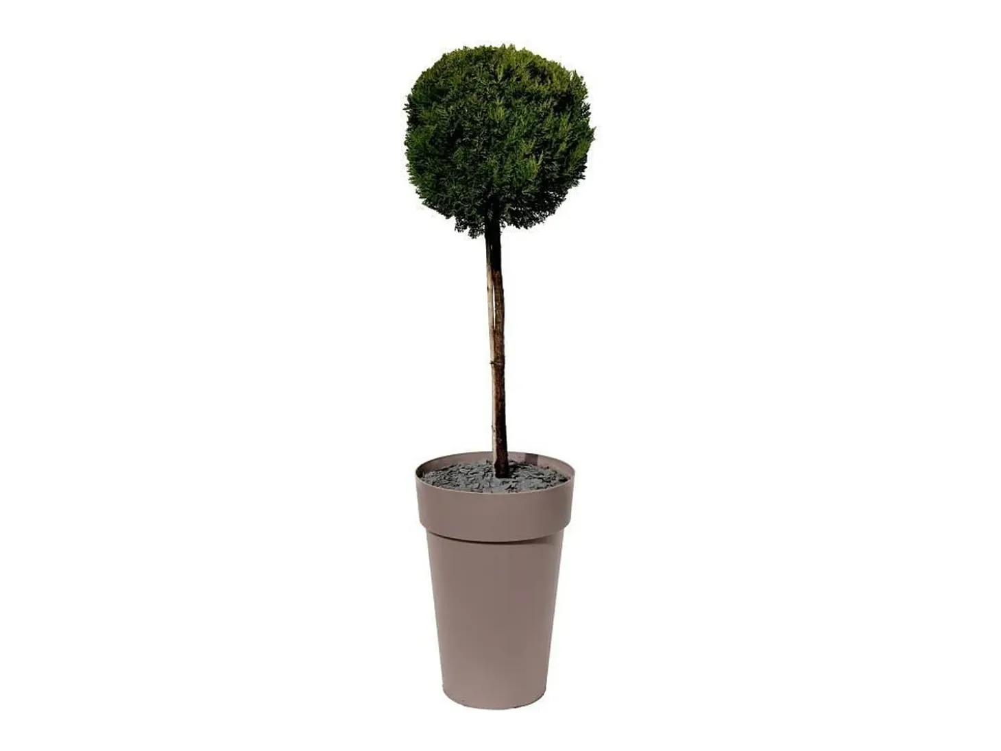 Maceta/jarrón alto Ø 46 x 65 cm - 67 L - Taupe