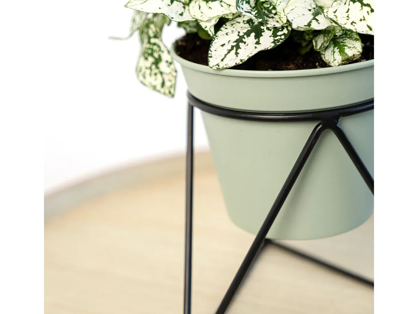 Macetero MOA Vinthera con base triangular verde claro 15x14,5x12,5 cm