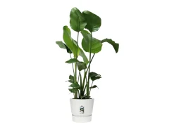Macetero redondo 40 - Exterior Ø 39 x 36,8 cm - Blanco