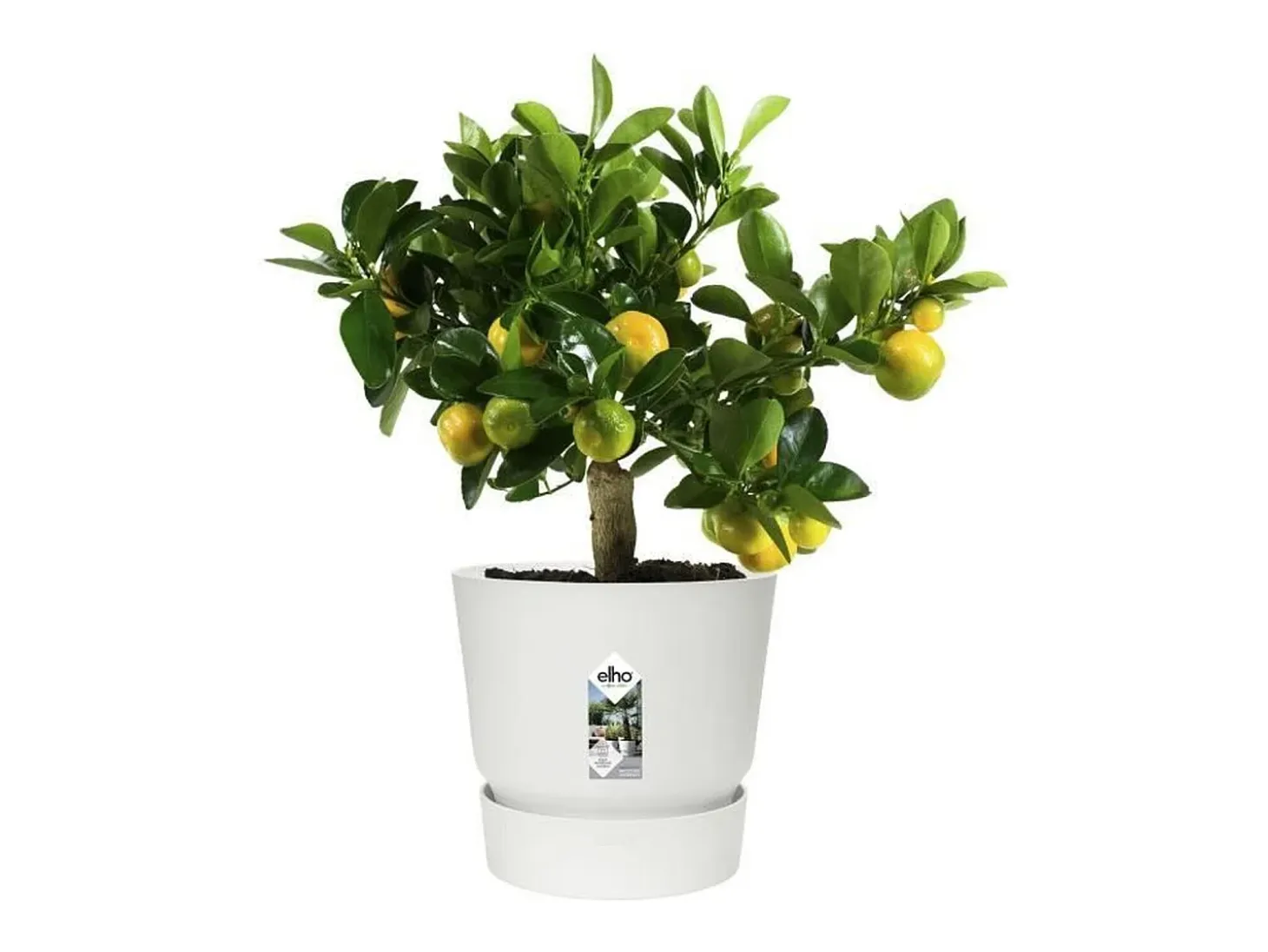 Macetero redondo 30 - Exterior Ø 29,5 x 27,8 cm - Blanco