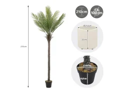 ML-Design Palmera Artificial 210 cm, Planta Artificial Grande, Palmera Tropical Artificial, Planta Artificial, Planta Falsa Deko