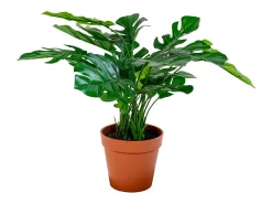 Monstera deliciosa artificial 45 cm