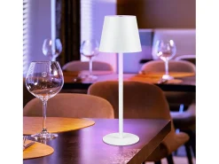NETTLIFE Lámpara de cabecera con batería inalámbrica，2 piezas - LED RGB 2600 mhA Lámpara de mesa para exteriores Lámpara de batería USB TIPO C Blanca