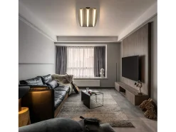 NETTLIFE Lámpara de Techo LED Blanco Cálido 3000 K Dormitorio 48 x 30 cm Acero Inoxidable y Acrílico Lámpara Cuadrada de 17 W para Salón Taller