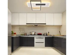 NETTLIFE Lámpara de techo LED Lámpara de techo para sala de estar Regulable 62W con 2 focos de techo Negro con control remoto Acrílico moderno