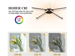 NETTLIFE Lámpara de Techo LED Salón 25" 24W Cocina Negro Moderno 5 Bombillas Diseño Pasillo Blanco Cálido Cristal Dormitorio para Cocina