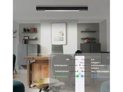 NETTLIFE Lámpara de Techo LED Negra Lámpara de Sala de Estar Regulable Moderna de 25 W de Largo con Control Remoto de 80 CM para Dormitorio de Oficina