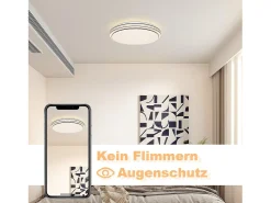 NETTLIFE Lámpara de Techo LED Moderna Redonda 27 cm Cielo Estrellado Regulable con Control Remoto Lámpara de Dormitorio de 23 W para Sala de Estar