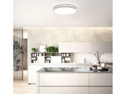 NETTLIFE Lámpara de Techo LED Moderna Redonda 27 cm Cielo Estrellado Regulable con Control Remoto Lámpara de Dormitorio de 23 W para Sala de Estar