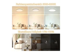 NETTLIFE Lámpara de Techo LED Moderna Redonda 27 cm Cielo Estrellado Regulable con Control Remoto Lámpara de Dormitorio de 23 W para Sala de Estar