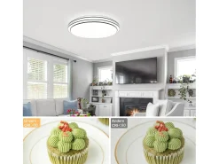 NETTLIFE Lámpara de Techo LED Moderna Redonda 27 cm Cielo Estrellado Regulable con Control Remoto Lámpara de Dormitorio de 23 W para Sala de Estar