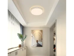 NETTLIFE Lámpara de Techo LED Moderna Redonda 27 cm Cielo Estrellado Regulable con Control Remoto Lámpara de Dormitorio de 23 W para Sala de Estar