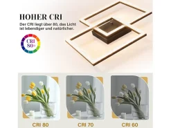 NETTLIFE Lámpara de Techo LED Sala de Estar Negro 3000K Blanco Cálido Lámpara de Dormitorio de Cristal Moderna 24W para Cocina Dormitorio Pasillo