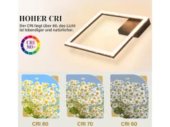 NETTLIFE Lámpara de Techo LED 12W Lámpara de Cristal Blanco Cálido 3000K Luz Negra Lámpara de Metal Cuadrada Moderna para Sala de Estar Dormitorio