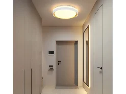 NETTLIFE Luz de Techo LED 18W 30cm Dormitorio Regulable con Control Remoto Cocina Lámpara de Cocina Redonda Moderna para Sala de Estar Pasillo
