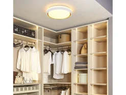 NETTLIFE Luz de Techo LED 18W 30cm Dormitorio Regulable con Control Remoto Cocina Lámpara de Cocina Redonda Moderna para Sala de Estar Pasillo