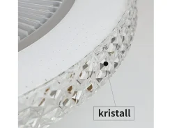 NETTLIFE Ventilador de techo LED con control remoto, silencioso, 48,5cm, ajustable, temporizador, cristal, para salón/dormitorio.