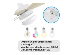 NETTLIFE Ventilador de techo con luz, mando a distancia, silencioso, con temporizador, 6 aspas, para dormitorio