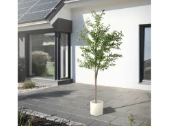 Olivo artificial Plantas artificiales Árbol artificial Planta artificial en mace