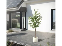 Olivo artificial Plantas artificiales Árbol artificial Planta artificial en mace