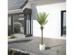 Palmera artificial ML-Design de 180 cm, planta artificial grande, palmera tropical artificial, planta artificial, planta falsa decorativa