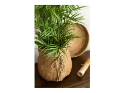 Palmera en maceta plástico verde/negro Alt. 84 cm