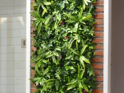 Pared vegetal sintética verde, protección anti-UV, pack de 3m², IKAZ